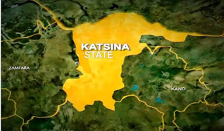 Katsina Trains 250 IDPs in Livestock Production to Rebuild Livelihoods